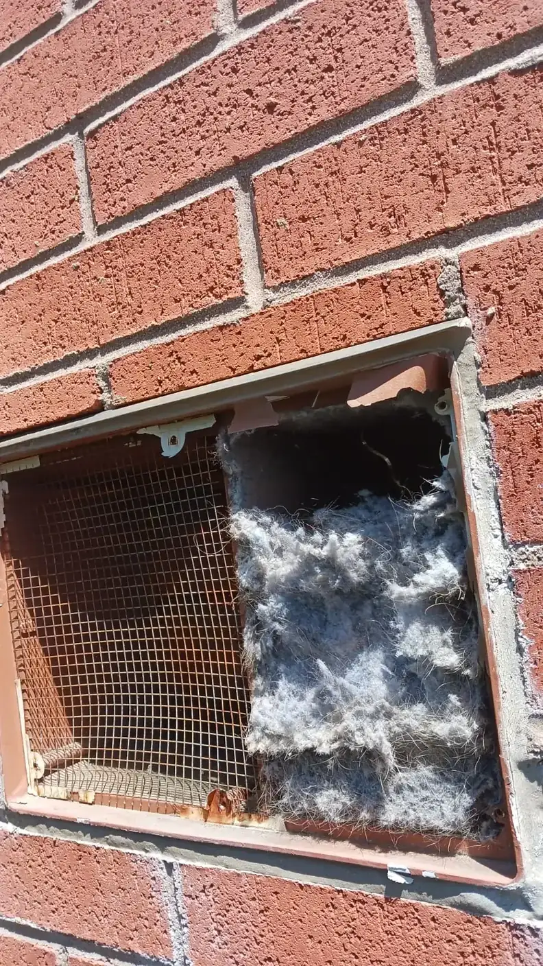 Close-up of a brick exterior dryer vent packed with built-up lint