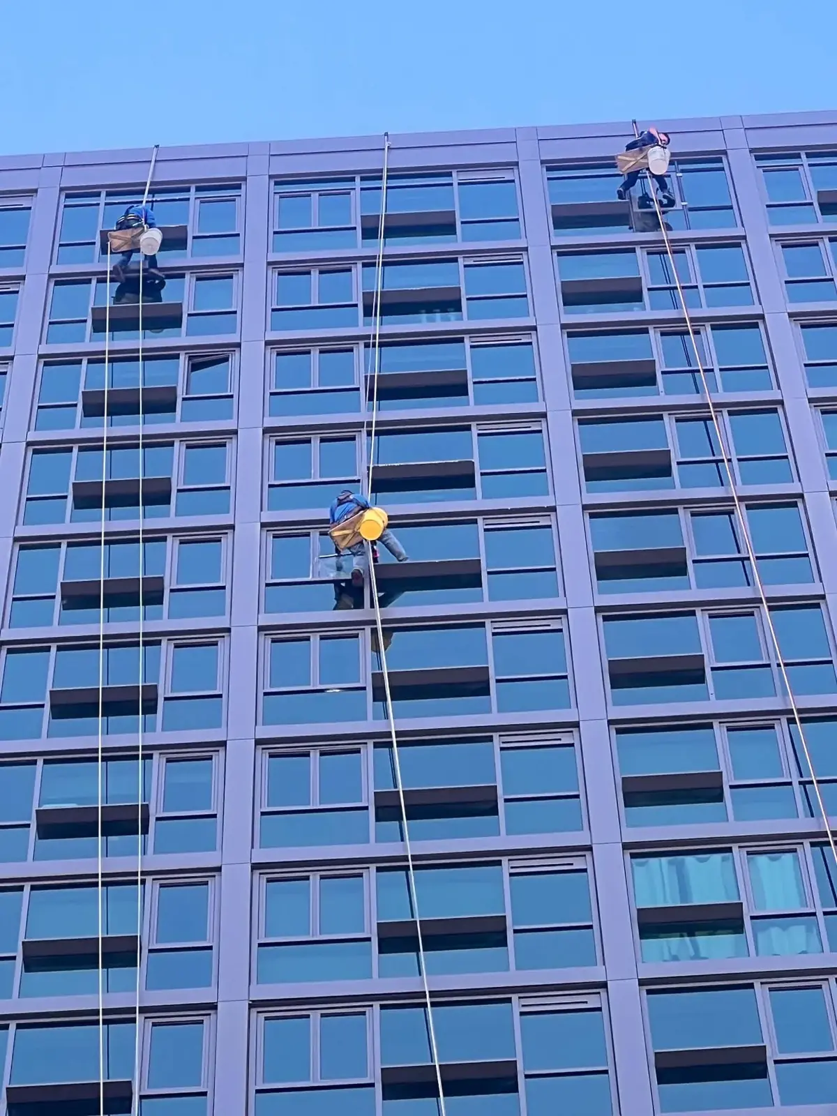 Joe's Window Cleaning technicians on rope access cleaning windows on a high-rise apartment building