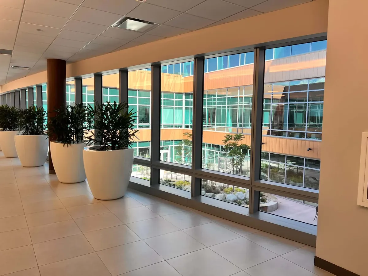 Sample of freshly cleaned glass overlooking a commercial building courtyard